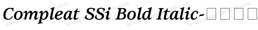 Compleat SSi Bold Italic字体转换